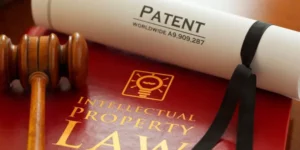 China intellectual property rights provide patent protection. 