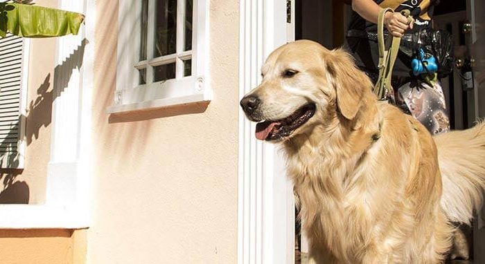 Wag!: a secure lock box on a tight schedule