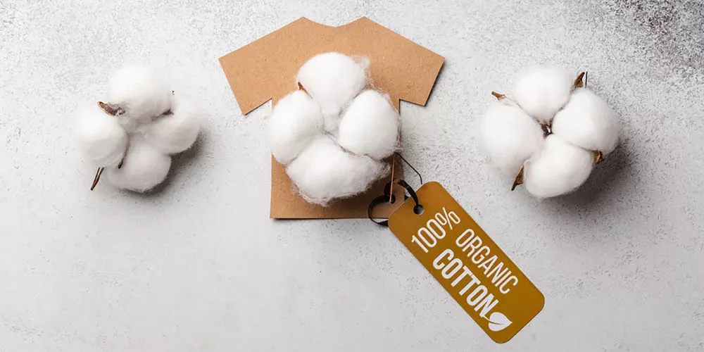 Organic cotton is one of the best eco-friendly fabrics