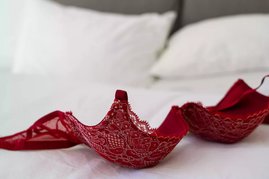 Lingerie Market Value to Reach New Heights 2 lingerie market bra symbol