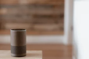 smart speaker market example from amazon's smart speaker